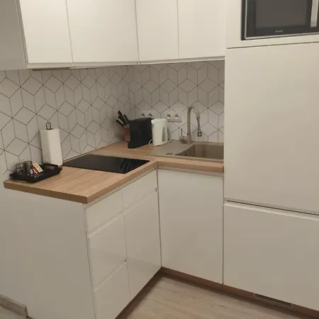 Mikro Aparty Bezplatny Parking Апарт-готель